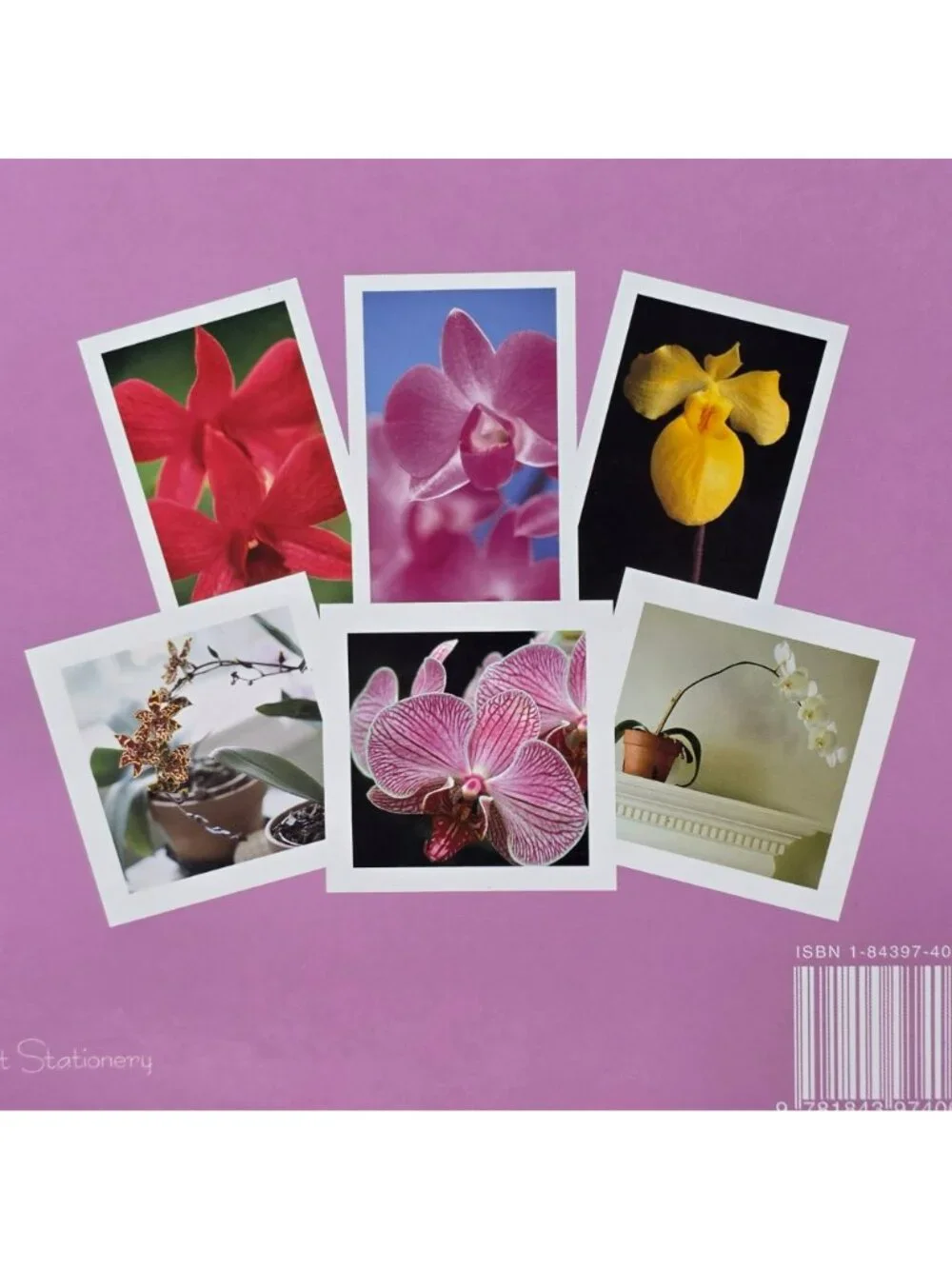 Orchids Greeting Card Book Spiral Organizer w/19 Cards & Envelopes BizzyBee 2005